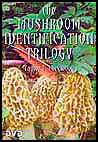 Mushroom Identification
