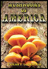 Mushrooms of America