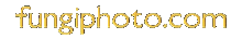 FungiPhoto.com
